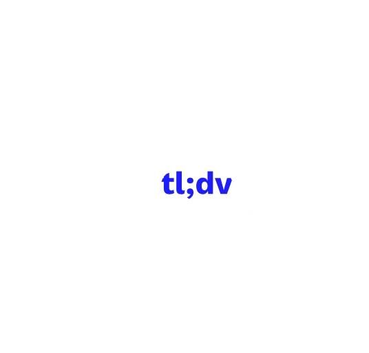 tl;dv – 会议记录